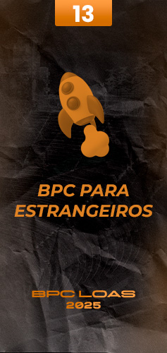 Modulos-BPC-13
